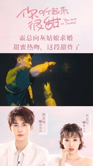 人像模式不止拍人!宠物也能轻松拿捏,四款影像旗舰谁能胜出?