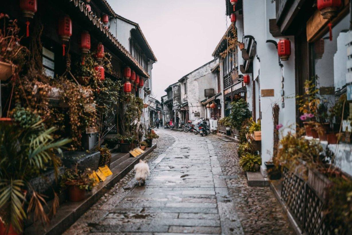 沪江开心词场