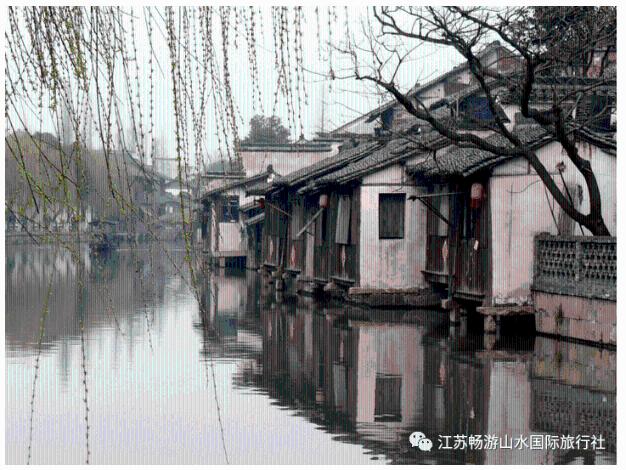潍坊青州：铆足干劲拼开局 跑出发展加速度